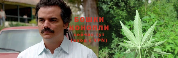spice Липки