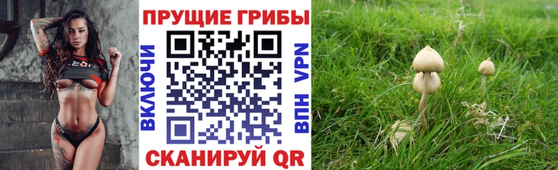 Галлюциногенные грибы Magic Shrooms  где найти наркотики  omg ссылка  Тверь 