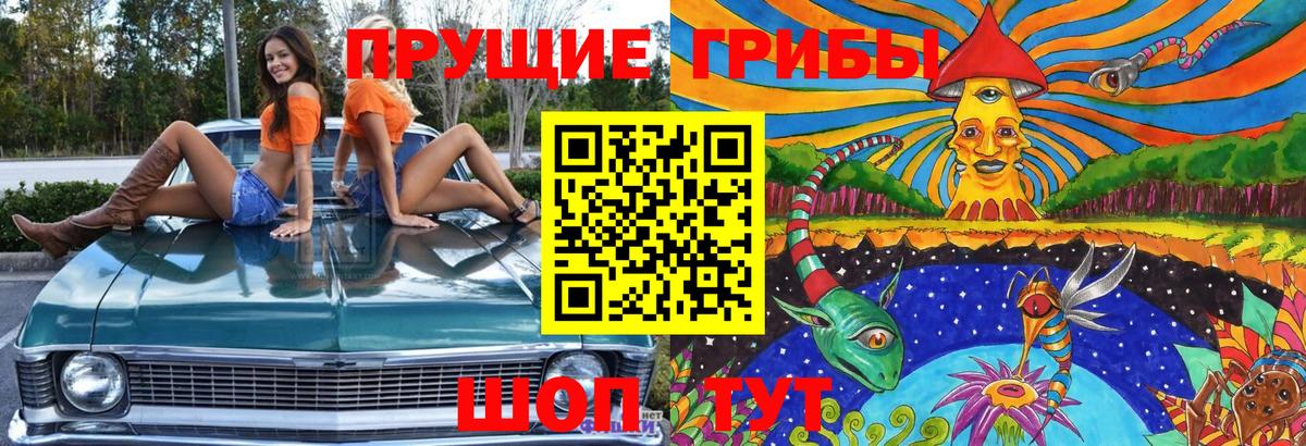 Тверь  Псилоцибиновые грибы Psilocybe  Псилоцибиновые грибы прущие грибы  купить закладку  Вход с VPN 